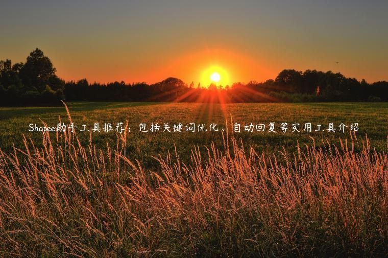 Shopee助手工具推薦：包括關鍵詞優化、自動回復等實用工具介紹