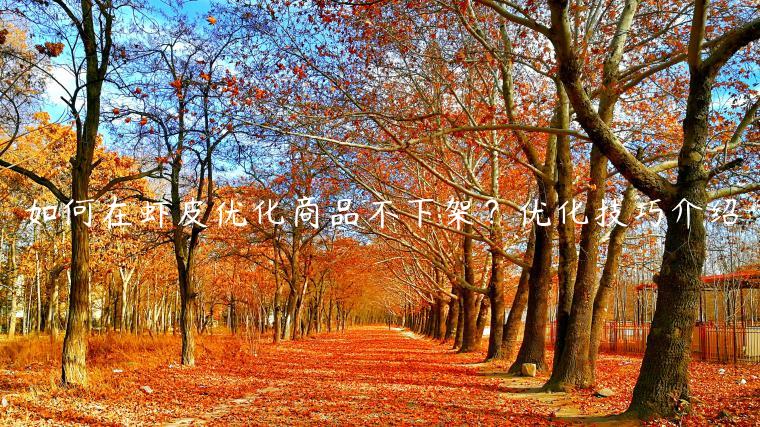 如何在蝦皮優化商品不下架？優化技巧介紹