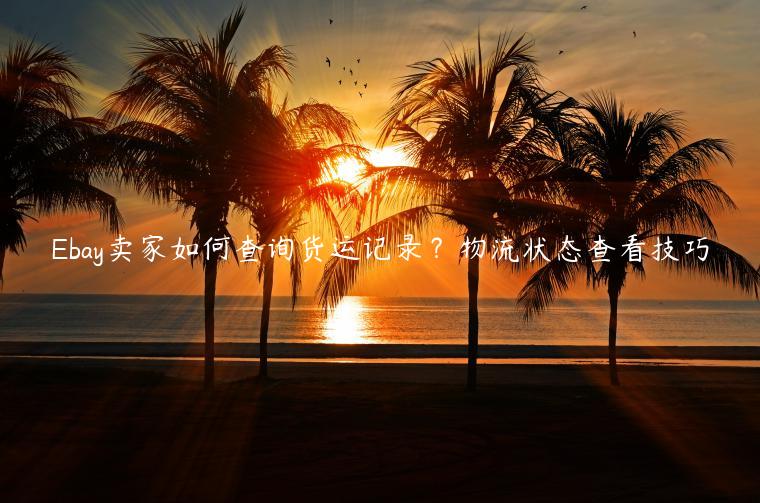 Ebay賣家如何查詢貨運記錄？物流狀態查看技巧