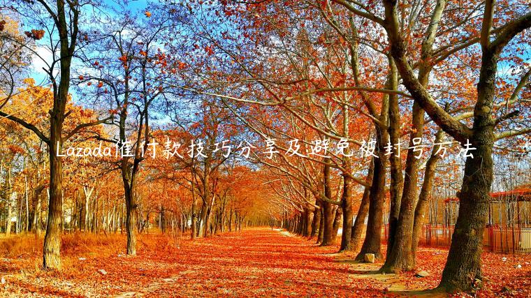 Lazada催付款技巧分享及避免被封號方法
