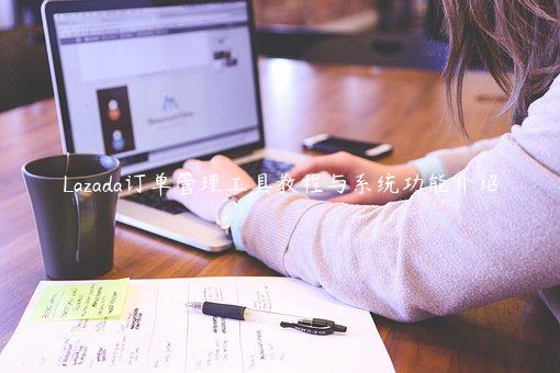 Lazada訂單管理工具教程與系統功能介紹