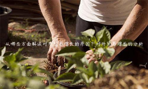 從哪些方面解讀對外貿易增長的原因？對外貿易增長的分析