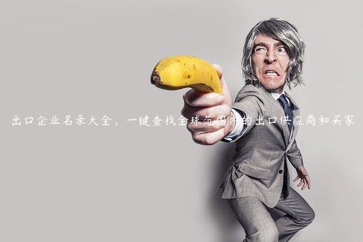 出口企業(yè)名錄大全，一鍵查找全球范圍內(nèi)的出口供應(yīng)商和買家