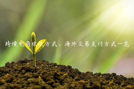 跨境電商收款方式：海外交易支付方式一覽