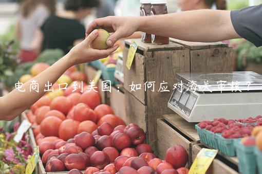 電商出口到美國：如何應對海關審核？