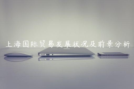 上海國(guó)際貿(mào)易發(fā)展?fàn)顩r及前景分析