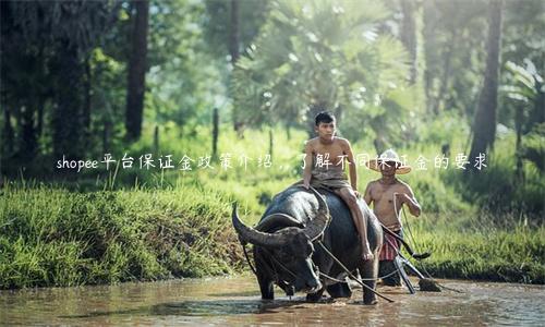 shopee平臺保證金政策介紹，了解不同保證金的要求