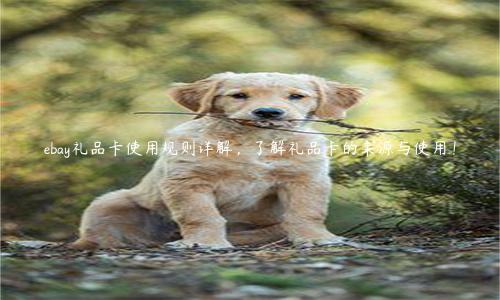 ebay禮品卡使用規則詳解，了解禮品卡的來源與使用！