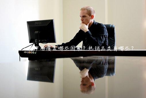 Wish主要市場覆蓋哪些國家？熱銷品類有哪些？