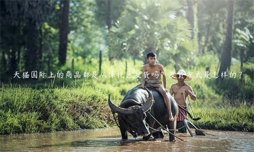 天貓國(guó)際上的商品都是從保稅區(qū)發(fā)貨嗎？發(fā)貨方式是怎樣的？