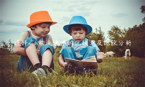 選擇wish物流速遞的優(yōu)缺點及比較分析