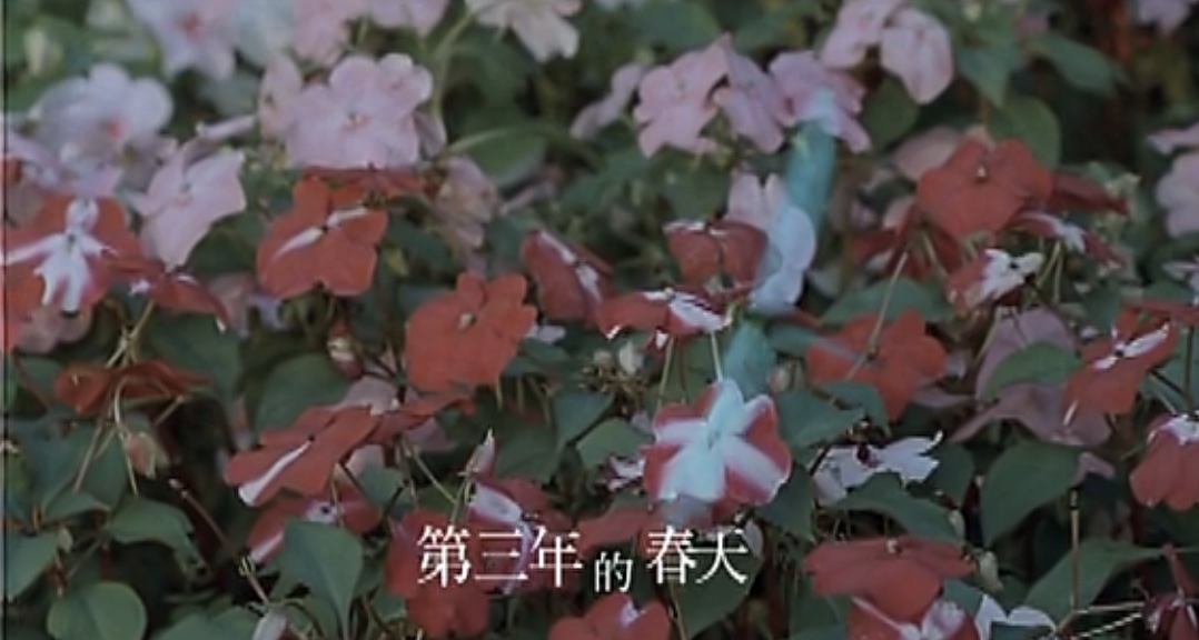 《還剩下些什么》歌詞表達了什么意思？《還剩下些什么》創作背景詳解