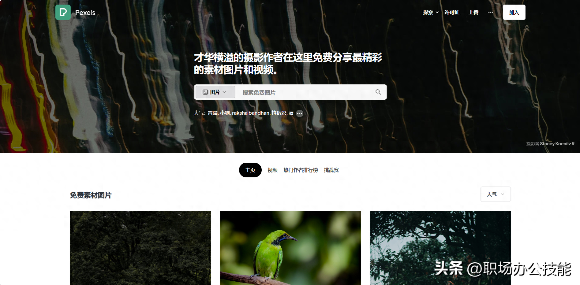 哪里能找到真實高清的豆漿油條圖片？實用圖片素材網站分享