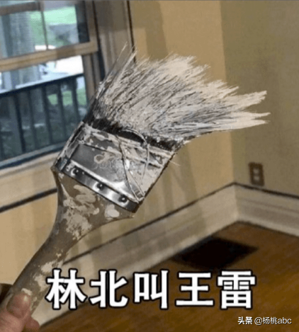 朱振億是誰，和王雷什么關系？朱振億奇葩問題經典語錄大全