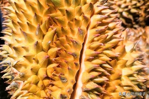 夫妻果是哪兩種水果？為什么會被稱作夫妻果？