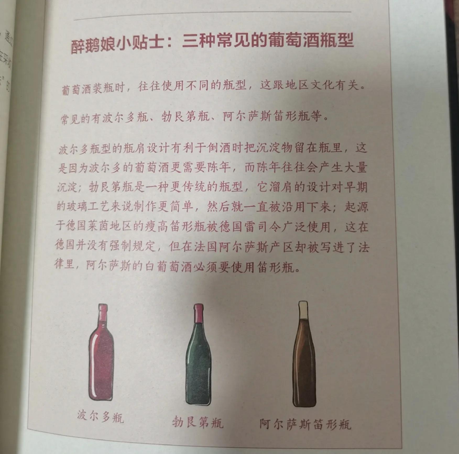 醉鵝團(tuán)王勝寒多大年齡？詳解王勝寒的成長背景及創(chuàng)業(yè)歷程