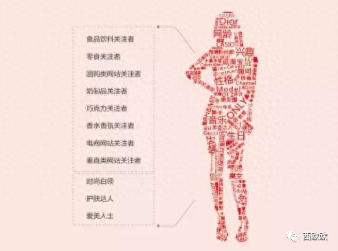 什么是用戶畫像，如何構建用戶畫像