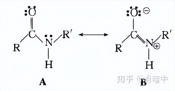 有機化學種共振式是什么意思？詳解共振式書寫規則