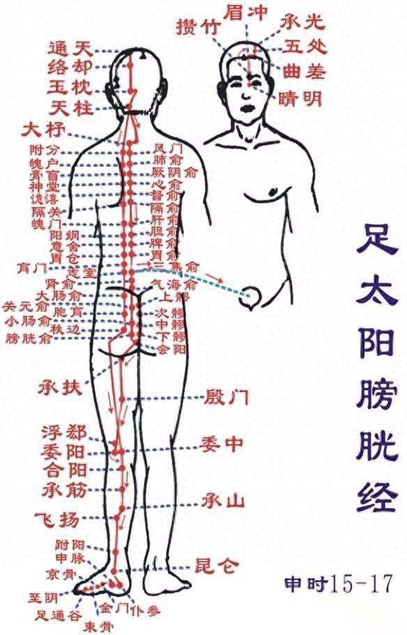 推背能消除富貴包嗎？做背的好處和功效介紹