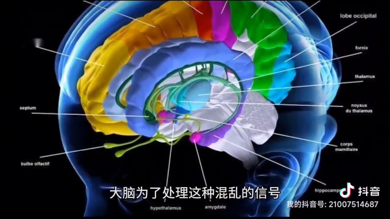 暈輪效應(yīng)是什么意思？常見(jiàn)暈輪效應(yīng)舉例