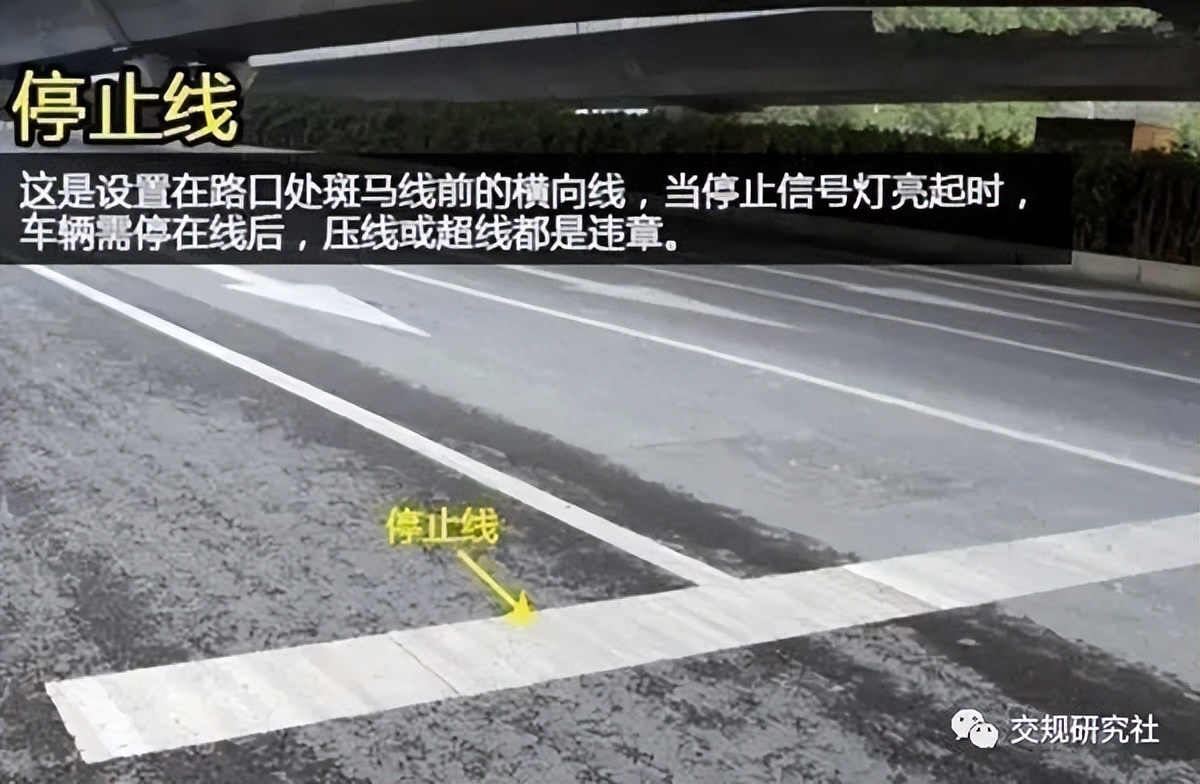 交通標(biāo)志網(wǎng)格線有什么作用？道路標(biāo)線大全及圖解
