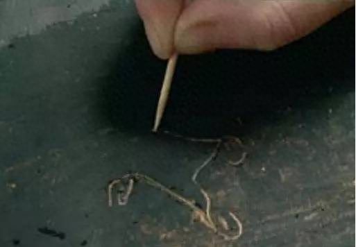 我在意大利的留學(xué)課程分享