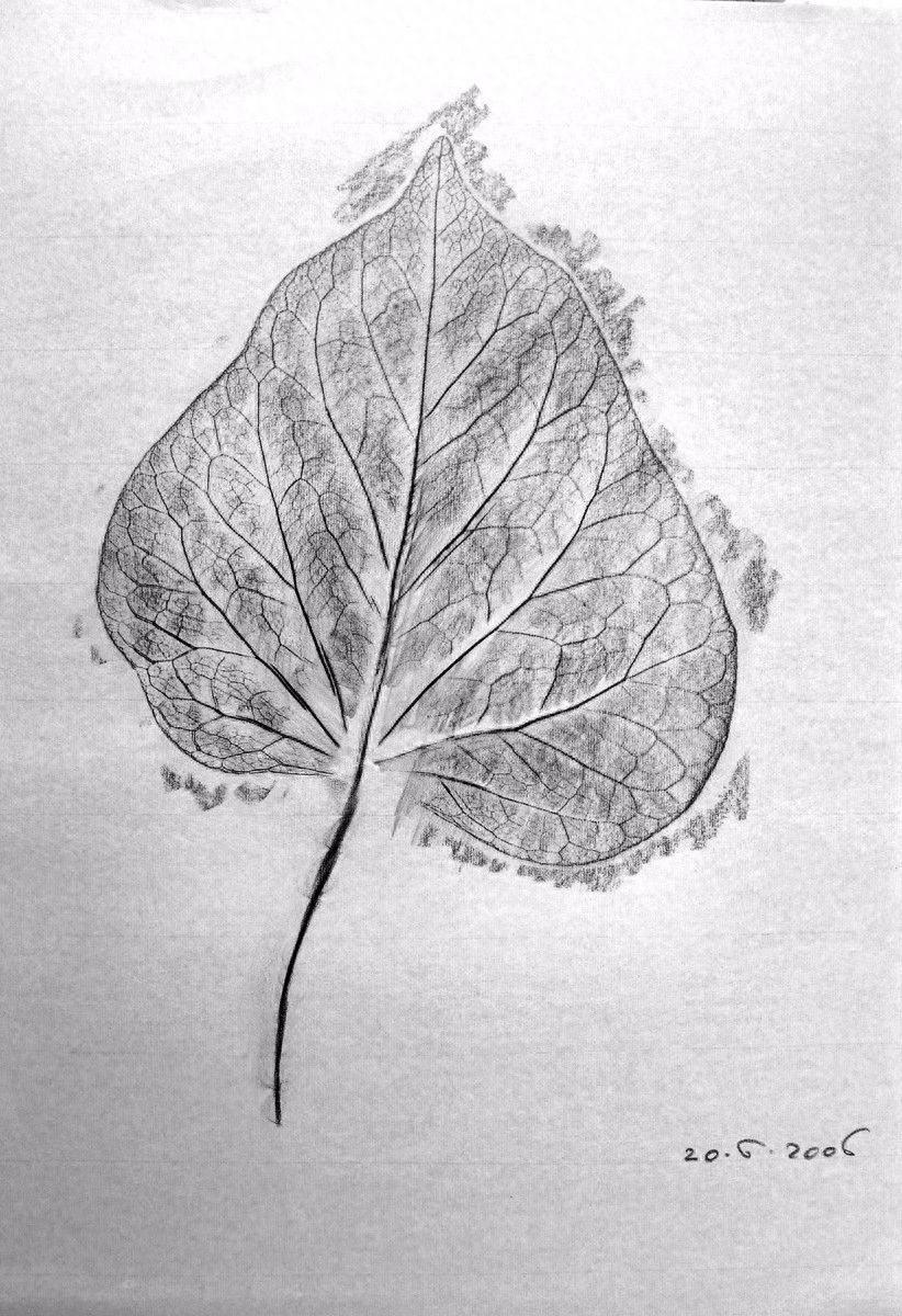 我在意大利的留學(xué)課程分享