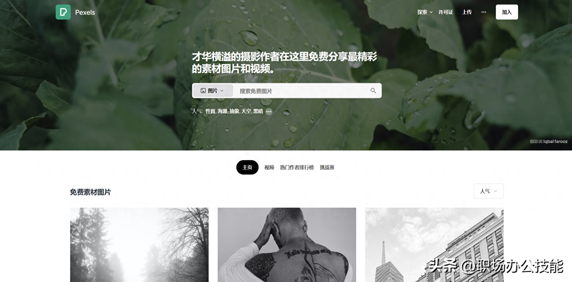 免費(fèi)高清圖片在哪里找？設(shè)計(jì)師必備的十個(gè)免費(fèi)高清素材網(wǎng)站