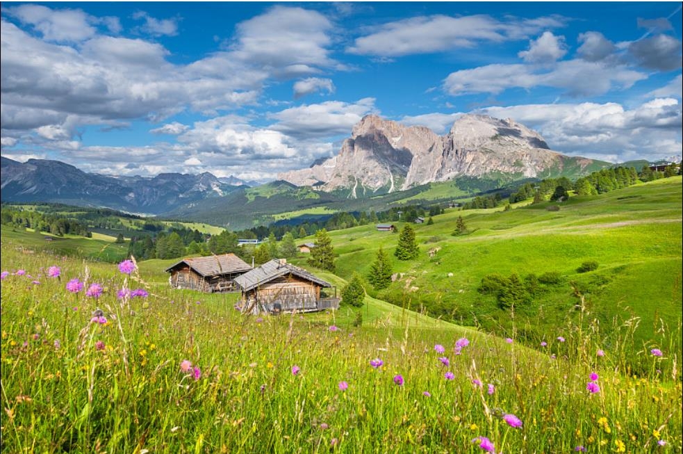 ps怎樣摳圖去背景？詳解PS的五種摳圖方式
