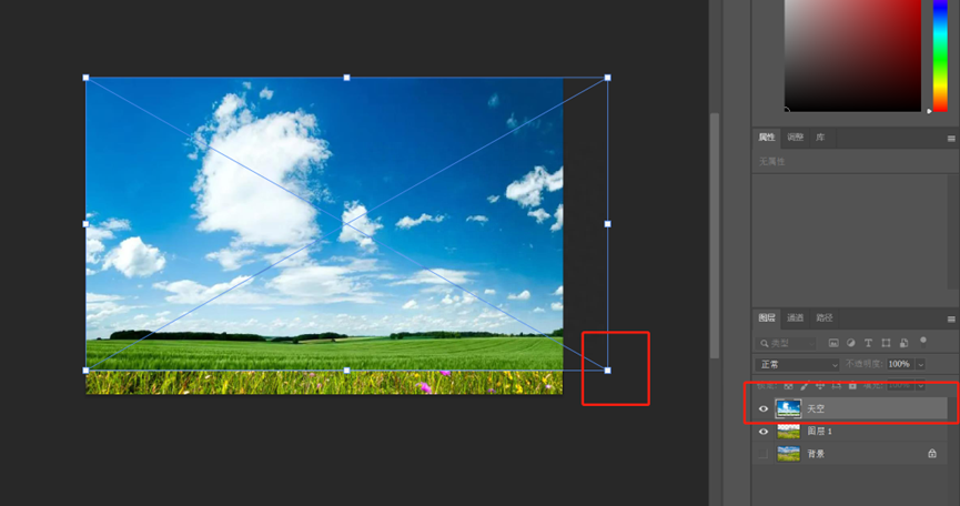 ps怎樣摳圖去背景？詳解PS的五種摳圖方式