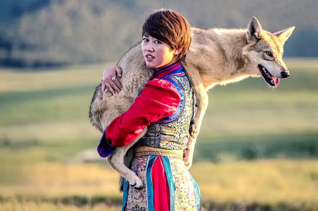養狼靠什么賺錢？《我在新疆養狼》吳燕怎么盈利？